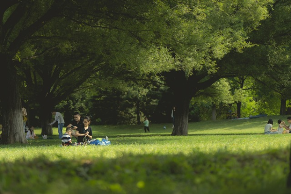 People are gathered in small groups enjoying a sunny day in a lush green space.
