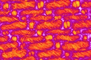 core image
