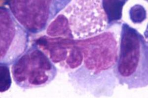 core image