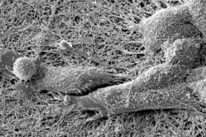 core image