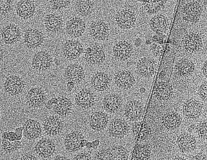 core image